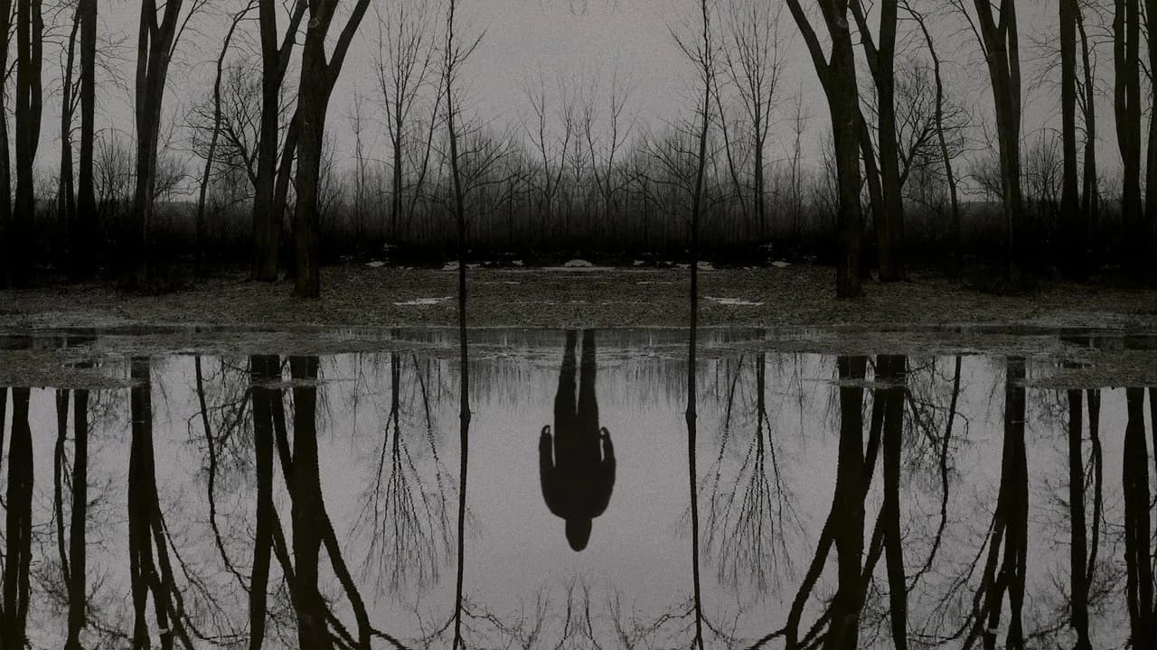 The Outsider backdrop