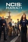 NCIS: Hawaiʻi poster