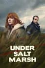 Under Salt Marsh poster